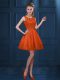 Adorable Tulle Sleeveless Knee Length Damas Dress and Lace and Ruffled Layers