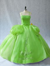 Appliques Sweet 16 Quinceanera Dress Lace Up Sleeveless Floor Length