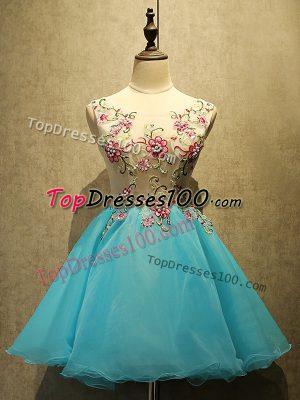 Modest Organza Bateau Sleeveless Lace Up Appliques Dress for Prom in Baby Blue